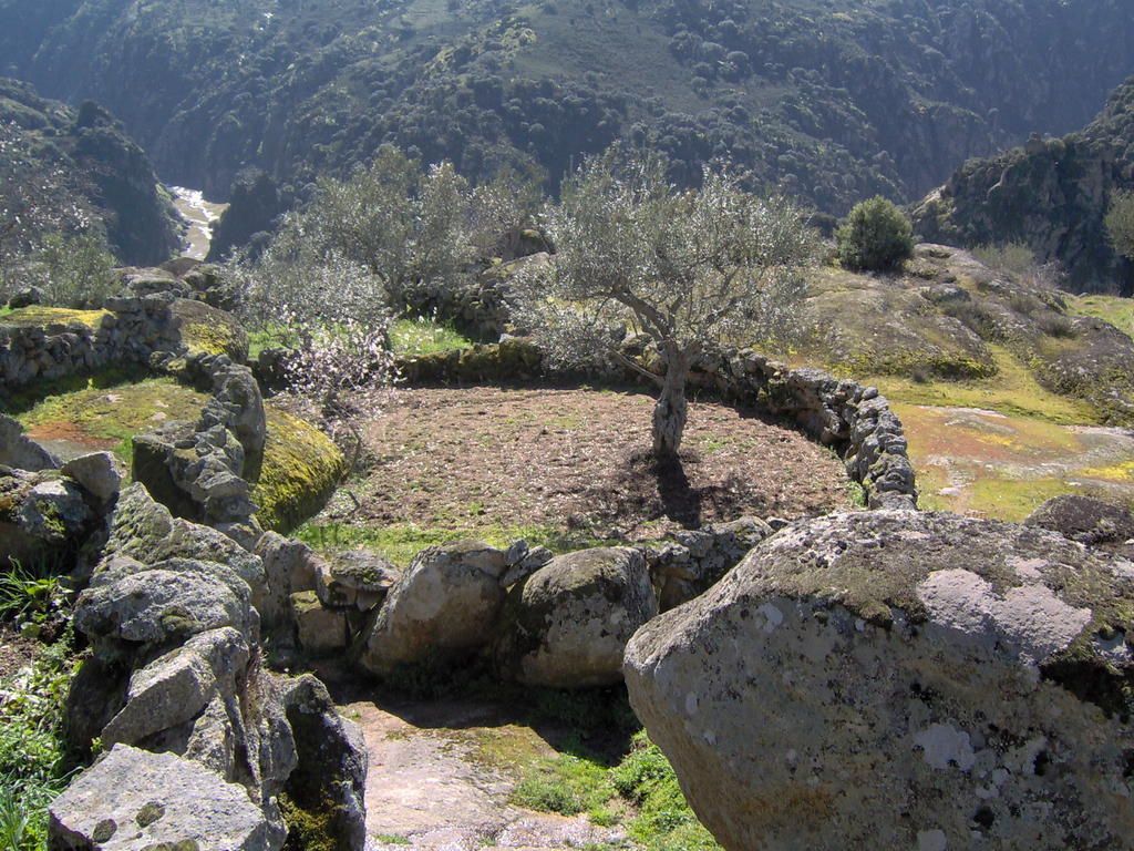 Casa De L Barrio ξενώνας Picote Εξωτερικό φωτογραφία