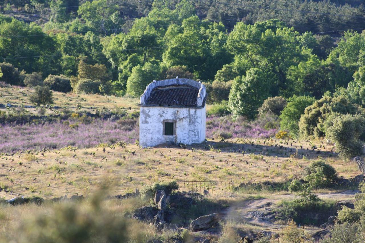 Casa De L Barrio ξενώνας Picote Εξωτερικό φωτογραφία